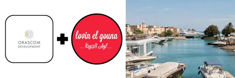 Feature Image - WordPress (2)