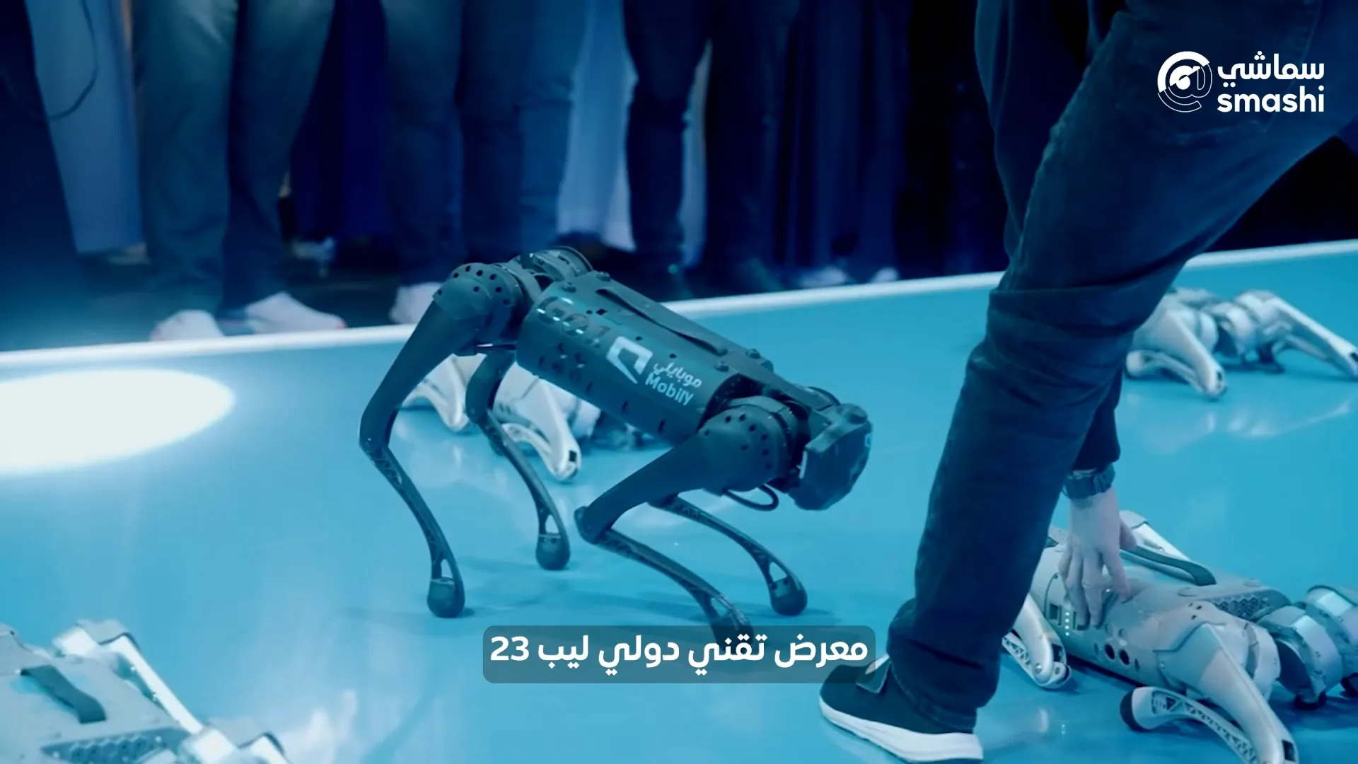 image of the episode